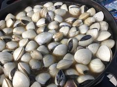-顺德哥卜卜贝(旗舰店)