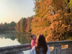 -上海海湾国家森林公园