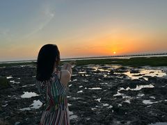 -南汇嘴观海公园