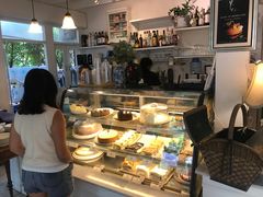 -Fern Forest Cafe