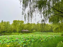 -济南森林公园