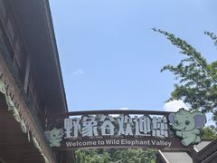 -野象谷景区