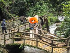 -莫里热带雨林景区
