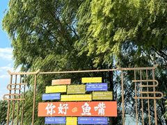 -鱼嘴湿地公园