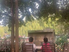-尚庄度假村·庭台树下·户外烧烤·团建CS·轰趴营地(上庄水库店)
