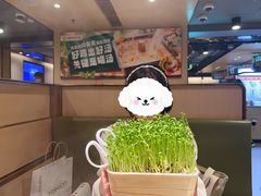 -海底捞火锅(劲松店)