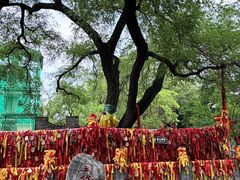 -大槐树寻根祭祖园