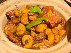 板栗香焖牛腩-老客家·客家菜(万达店)