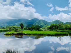 -大九湖