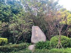 -福建鲤鱼洲酒店