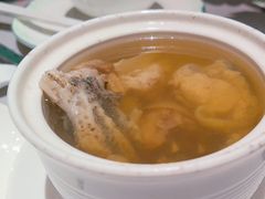 -新兴·金羊座·粤菜点心(乐峰店)