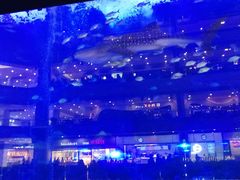 -成都浩海立方海洋公园