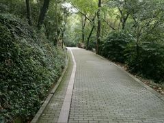 -宝岩生态观光园