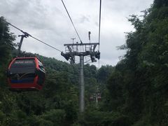 -青城山
