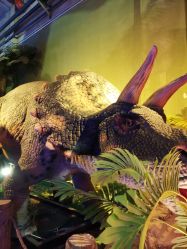 -恐龙探索乐园(磁器口店)