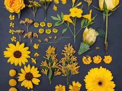 -森野花艺培训·企业团建活动沙龙