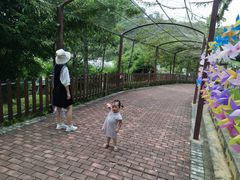 -泉州海丝野生动物世界