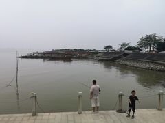 -海鸥岛