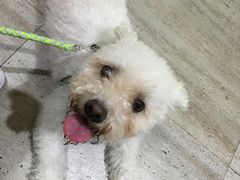 -暖阳宠物医院·犬猫康复中心·骨科