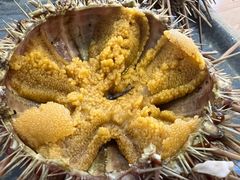 -海胆小馆(东北水饺·春柳店)