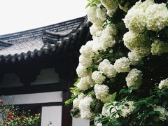 -常熟方塔园