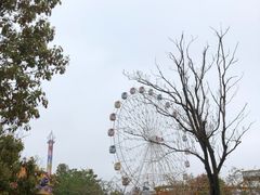 -如皋市龙游湖欢乐世界