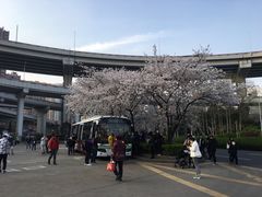 -上海南浦大桥长途旅游客运站