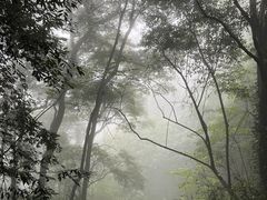 -青城山