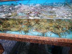 -渔人湾码头海鲜市场负二楼