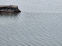 -vivo官方授权体验店(朝阳合生汇店)