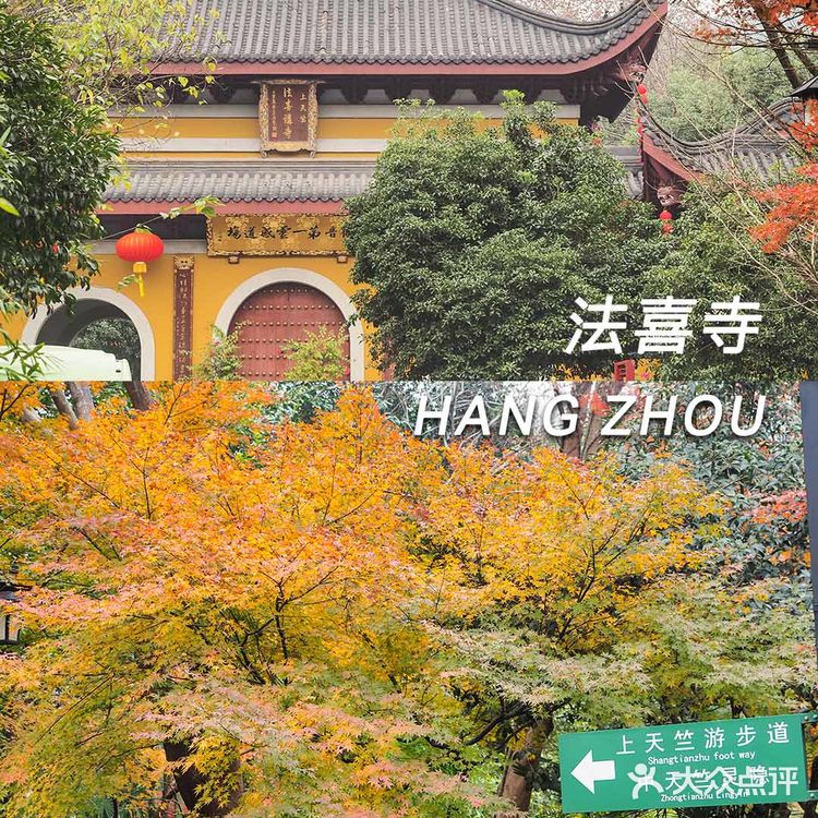 2020杭州超网红寺庙 上天竺『法喜寺』