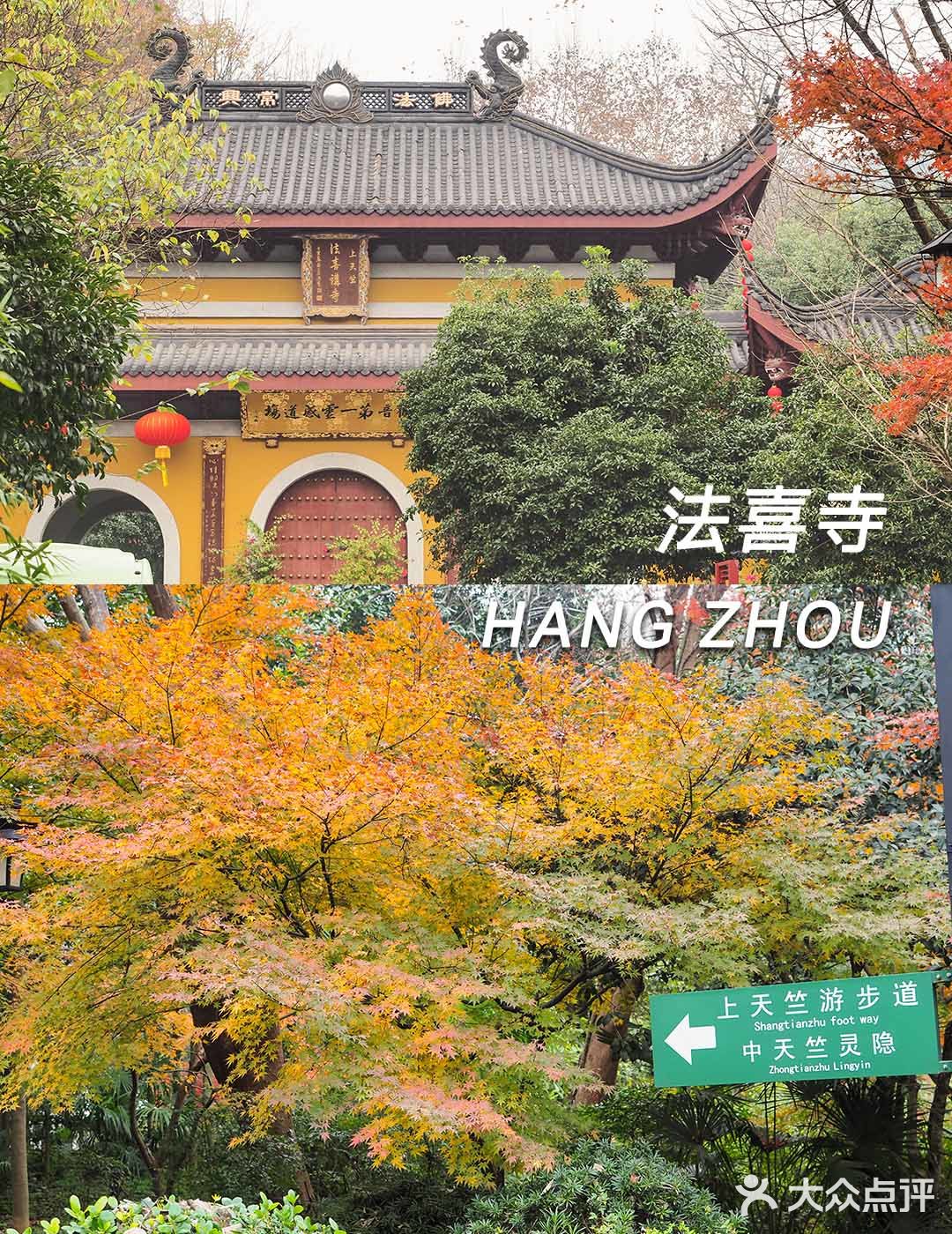 2020杭州超网红寺庙 上天竺『法喜寺』