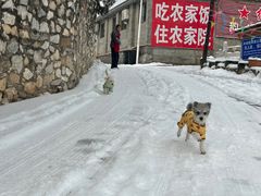 -韵之源农家菜(北京1店)