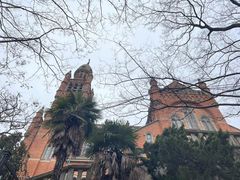 -上海佘山国家森林公园西佘山园