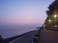 -深圳湾公园(南山区)