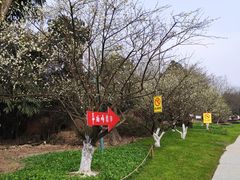 -秀丽东方