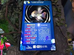 -合肥海洋世界