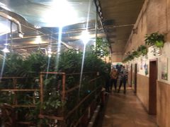 -天发长铁锅炖(王秀村店)