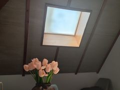 -席家花园(巨鹿花园店)
