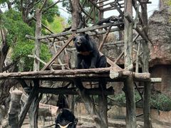 -长鹿旅游休博园