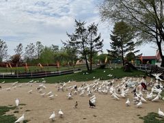 -南通洲际绿博园