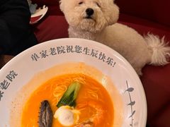 -单家老院·院子里的青岛菜(沙子口店)