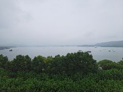 -杭州君悦酒店