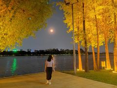 -东莞松山湖凯悦酒店