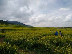 -扁都口生态休闲旅游区