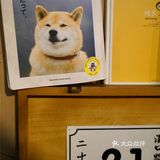 南京探店｜南大附近的宝藏西餐小馆