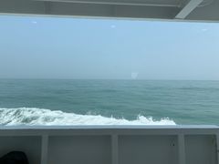 -枸杞岛