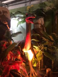 -恐龙探索乐园(磁器口店)