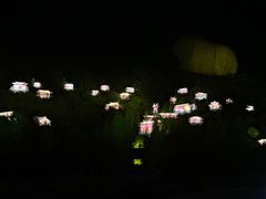 -鼎盛王朝康熙大典实景演出