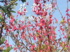 -广东花都湖国家湿地公园